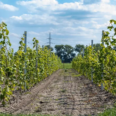 Bauernhof Hoeve De Blauwe Zaal Brügge